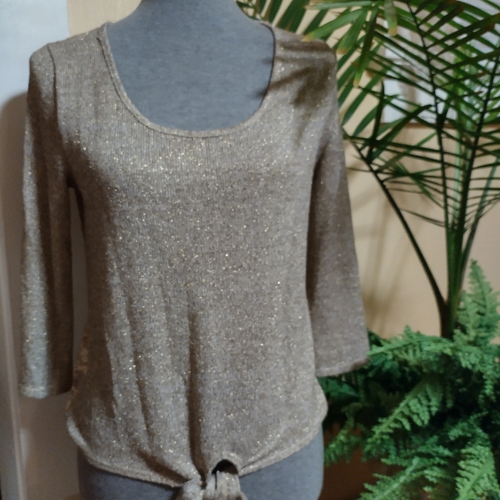 Pretty Metallic and Lace Top